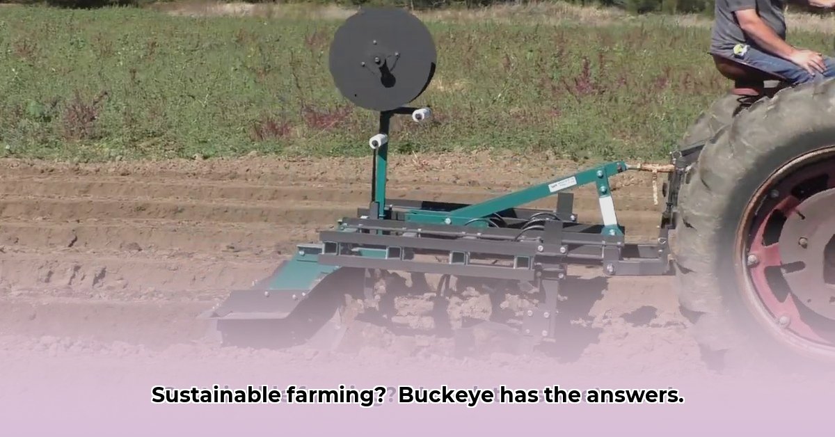 tractor-supply-buckeye